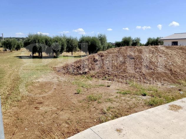 Terreno Residenziale - Sant'Omero . Rif.: Cod. rif A142VRG - Foto 6