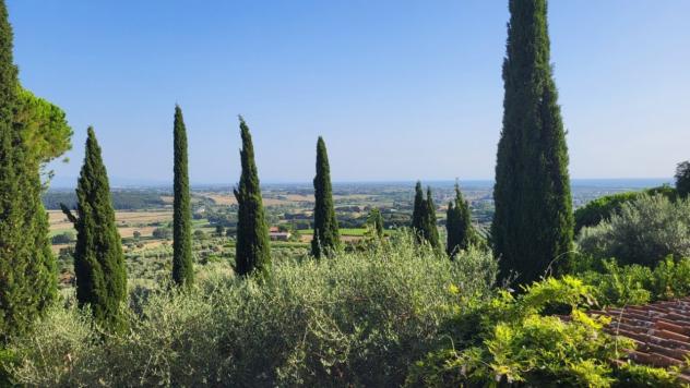 Terratetto in vendita a Rosignano Marittimo
