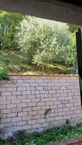 Casa semindipendente in vendita a Semproniano 90 mq Rif: 1451305 - Foto 4