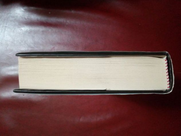 Libro: La bambina Lazarus - Robert Mawson - Foto 4