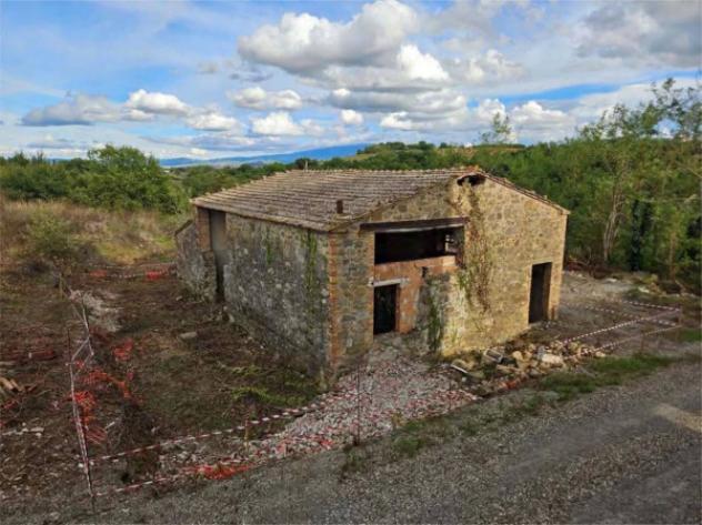 Immobile in asta di 1555 m² in vendita a Cinigiano - Foto 8