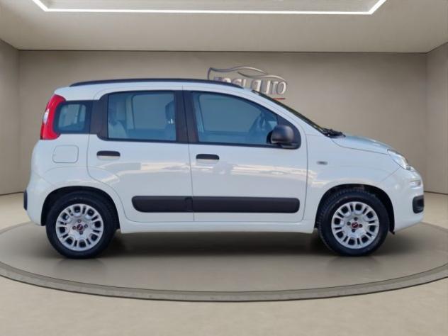 FIAT Panda 1.2 Easy rif. 24180403 - Foto 6