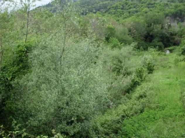 Immobile in asta di 33 m² in vendita a Salerno - Foto 7
