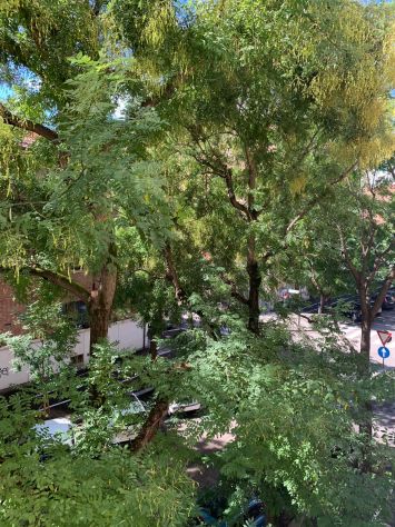 BOLOGNINA (BOLOGNA) – Ampio appartamento in affitto per studenti - Foto 2