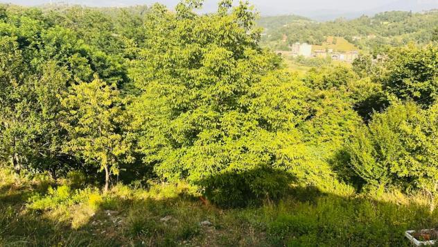 Casa singola in vendita a Podenzana 200 mq Rif: 1267299 - Foto 6