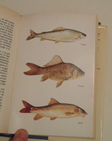 Il libro della pesca in acque dolci, Renzo Portalupi, 1979. - Foto 10