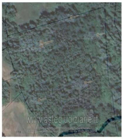 IMMOBILI-ALTRA CATEGORIA-Località Ca' Zemprino e località Case Gasperoni - Foto 5