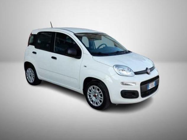 FIAT Panda Panda 1.2 easypower Gpl s&s 69cv - Foto 3