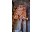 patate da forno prodotte in montagna