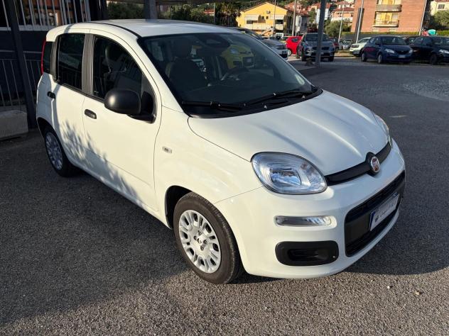 FIAT Pandina 1.0 FireFly 65cv S&S 6m Hybrid Icon