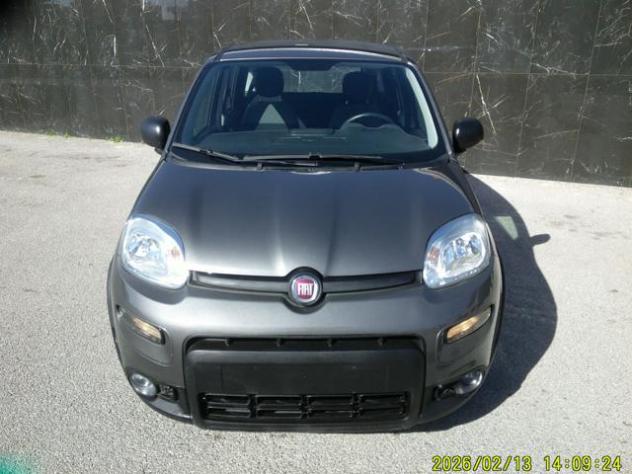 FIAT Panda 1.0 FireFly S&S Hybrid rif. 24081145 - Foto 2