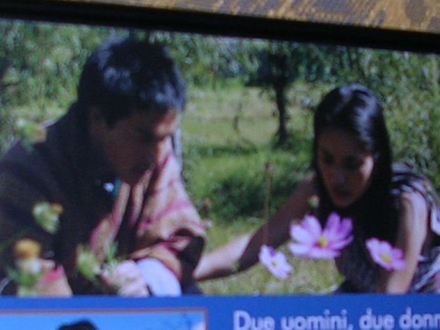 MAGHI E VIAGGIATORI - Foto 5