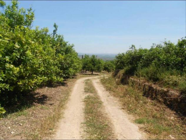 Immobile in asta di 42847 m² in vendita a Militello in Val di Catania - Foto 7