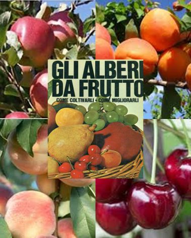 GLI ALBERI DA FRUTTO, Franco Lamonarca, Giovanni De Vecchi Editore 1^ Ed. 1969. - Foto 3