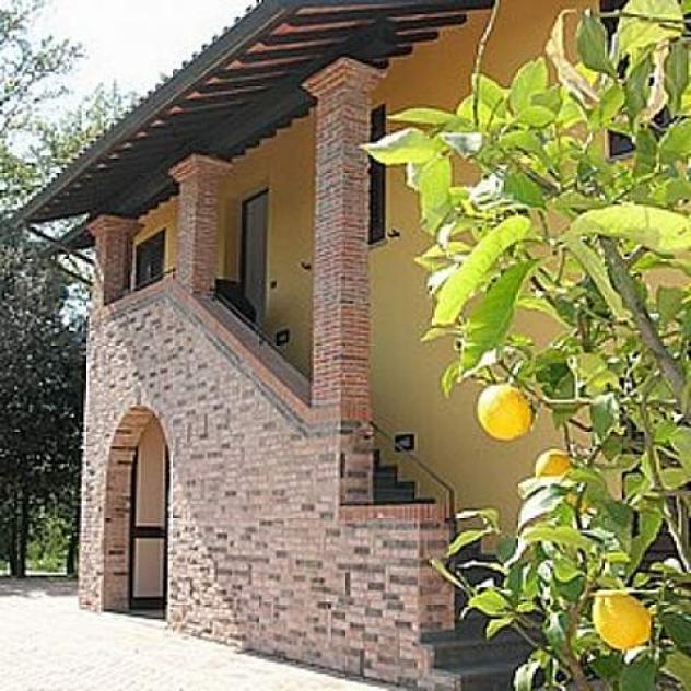 Appartamento in affitto a Santa Maria a Monte 70 mq Rif: 236984 - Foto 2
