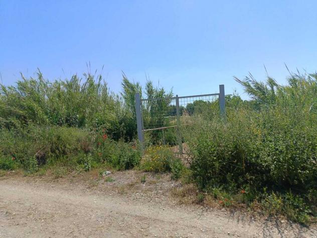 Seminativo in vendita a Cerveteri - Foto 2