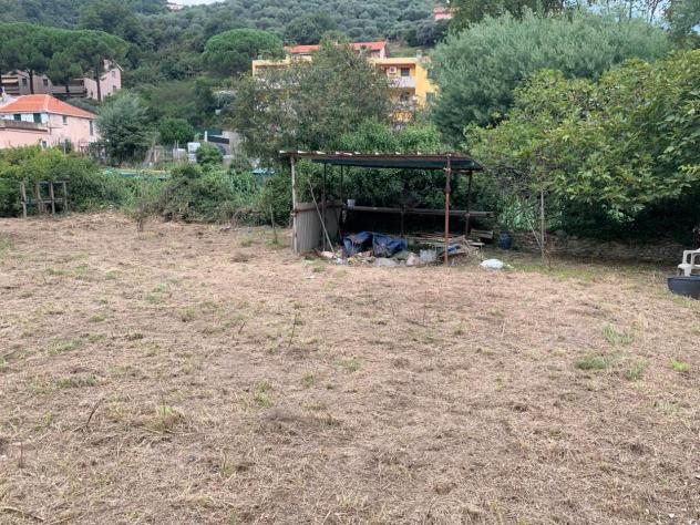 Frutteto in vendita a Vado Ligure - Foto 10