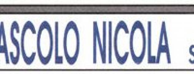 Mascolo Nicola