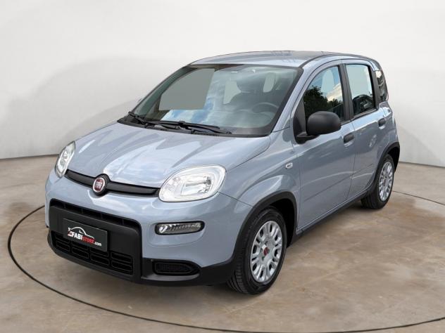 FIAT Panda 1.0 Hybrid 70 Cv City Life - Clima, Radio, Ruotino ecc - Foto 2
