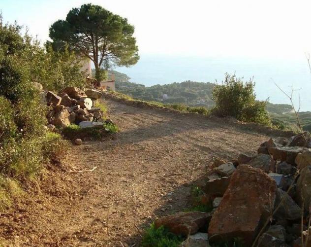Terreno Residenziale - Capoliveri . Rif.: Cod. rif 3338375VRG - Foto 5