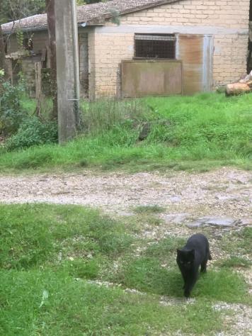 Casale in vendita a Catabbio - Semproniano 120 mq Rif: 1298146 - Foto 4