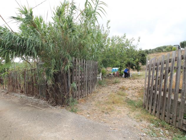 Agricolo in Strada Vicinale Incorvino Santa Caterina 2 - Foto 3