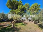 Terreno di 4619 mq  in vendita a Cerda - Rif. 4545812