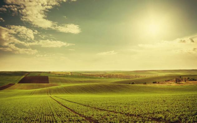 Agricolo in vendita a Noventa Vicentina