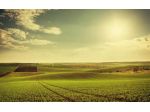 Agricolo in vendita a Noventa Vicentina