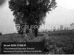 Terreno in vendita a Travacò Siccomario - Rif. 4551048