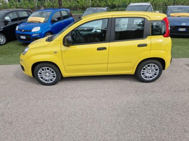 FIAT Pandina 1.0 FireFly 65 CV Hybrid Pop rif. 23516551 - Foto 2