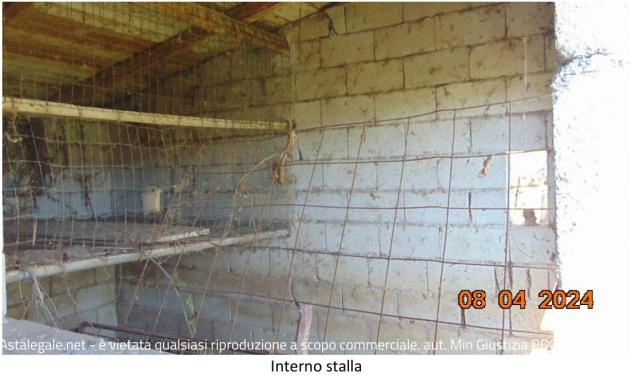 R.G.E. 3/2023 Potenza - Foto 6
