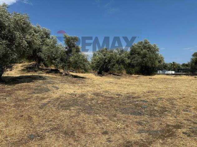 Terreno in vendita a Misterbianco - Foto 3