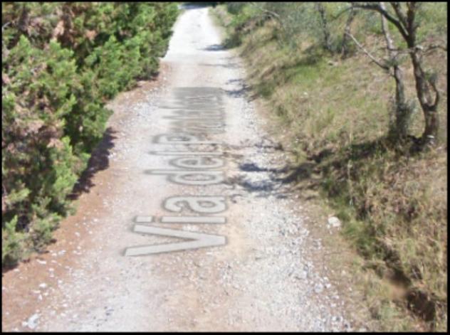 Immobile in asta di 9170 m² in vendita a Pescia - Foto 2