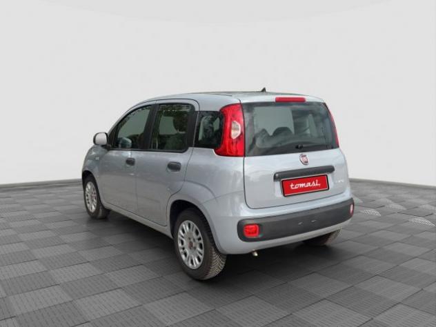 FIAT Panda Panda 1.0 FireFly Hybrid rif. 23952037 - Foto 3