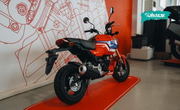 HONDA MSX 125 GROM 125 rif. 24115519 - Foto 5