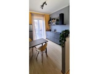 Appartamento in affitto a Pisa 70 mq Rif: 1245244