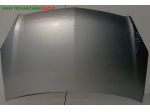 COFANO ANT. ARGENTO 999-U1308905 Carrozzeria  Lamierati esterni  Cofano  Co &hellip;