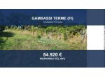 Immobile in asta di 46625 m² in vendita a Gambassi Terme