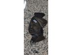 Placca da Parete Intagliata a Mano in Legno Scuro – 25232