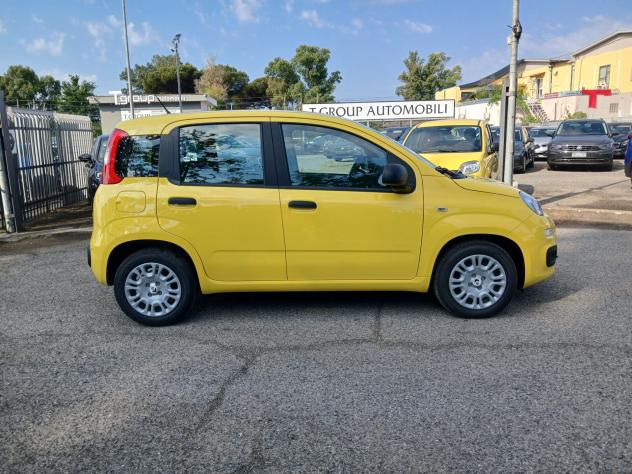 Fiat Panda 1.0 FireFly S&S Hybrid Pandina - Foto 4