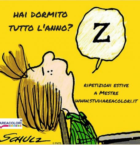 Ripetizioni in presenza a Mestre - Foto 2