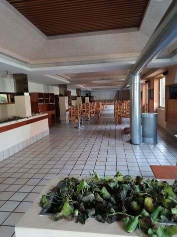 Complesso immobiliare per ristorazione - rif. RIST54 - Foto 6