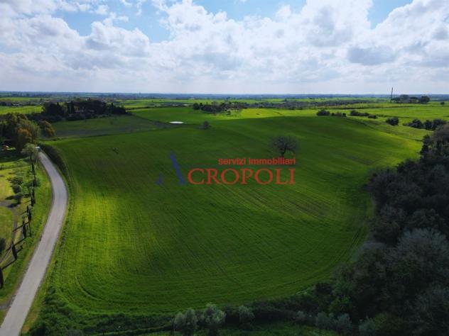 Terreno Agricolo - Rif. 2468 - Foto 14