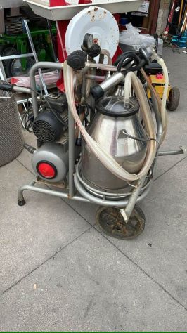 MUNGITRICE PER MUCCHE  DUE GRUPPI - Foto 2