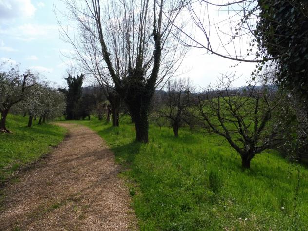 Terreno Agricolo - Fara Vicentino . Rif.: Cod. rif 3314789VCG - Foto 2