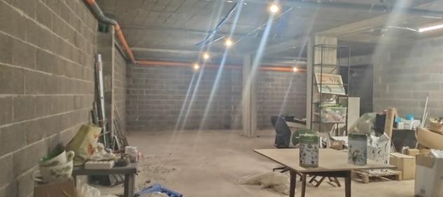 Magazzino in affitto a Nettuno - Foto 12