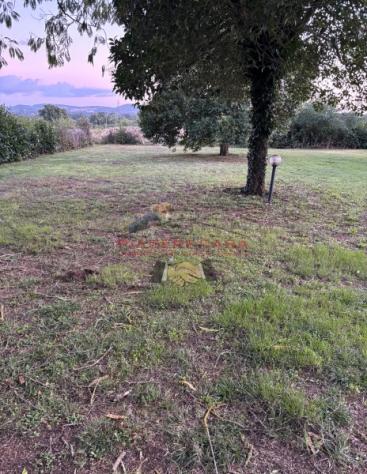 Castel Giorgio - Abitazione indipendente con portico e ampio giardino in vendita - Foto 3