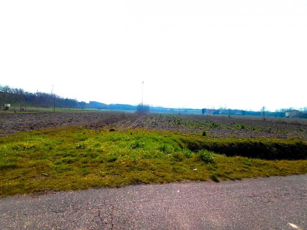 Agricolo in vendita a Boara Pisani - Foto 3