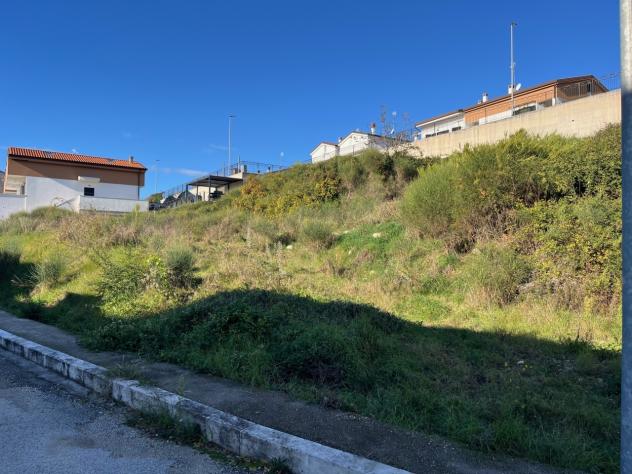 Agricolo in vendita a Segni - Foto 7